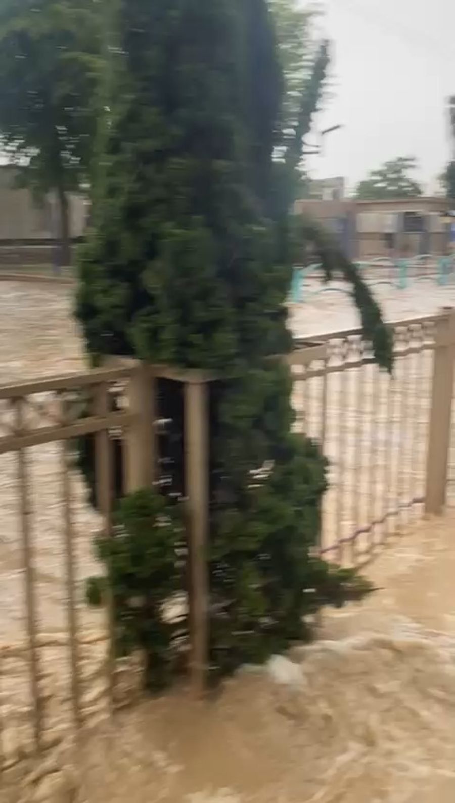 Flooding in Israel