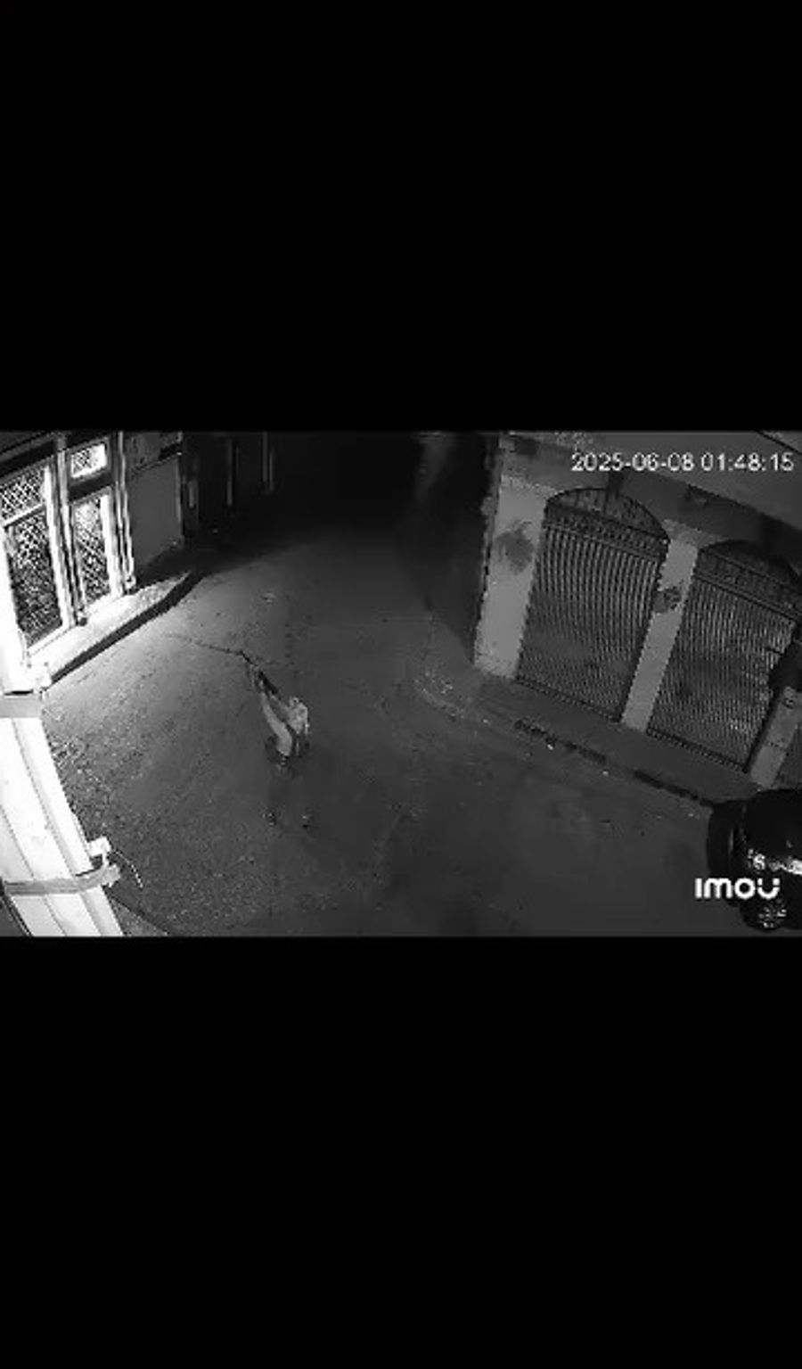 Gunman firing on church.