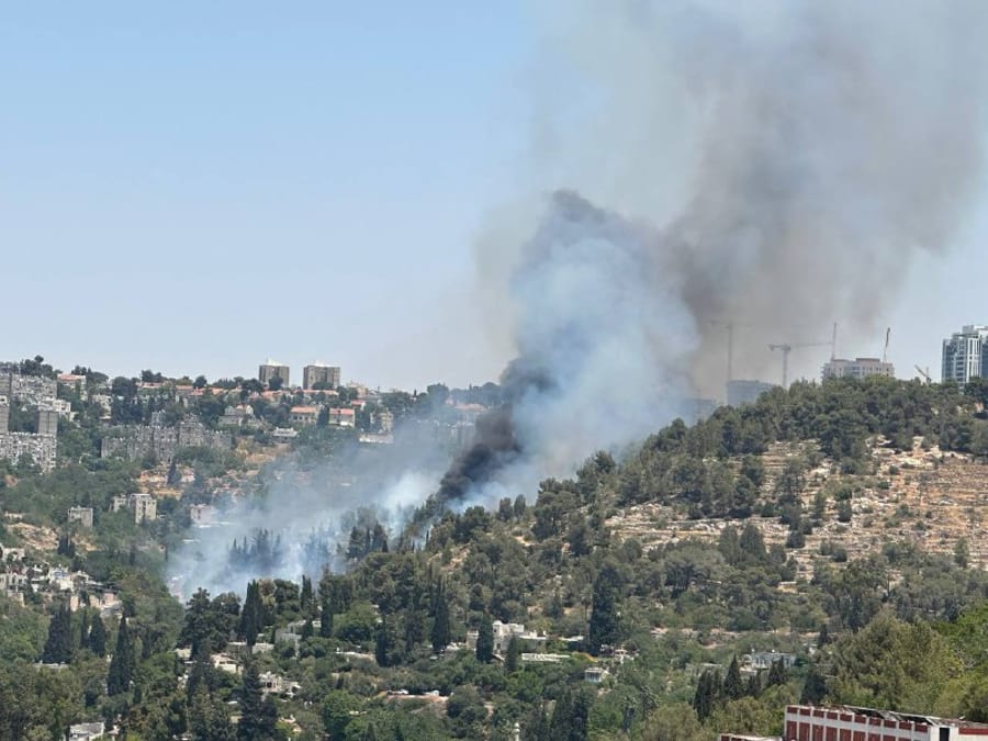 A fire broke out in a grove in the Carmit Forest near Jerusalem.