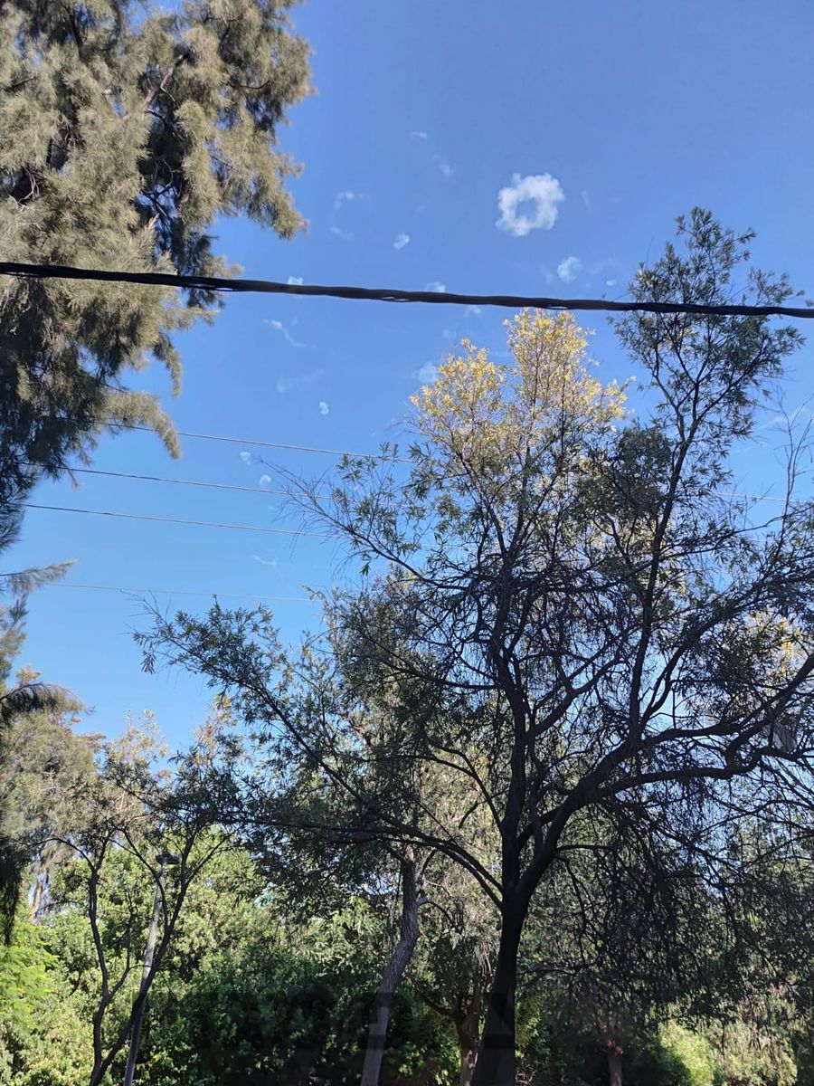 MDA Reports No Injuries After Northern Israel Sirens