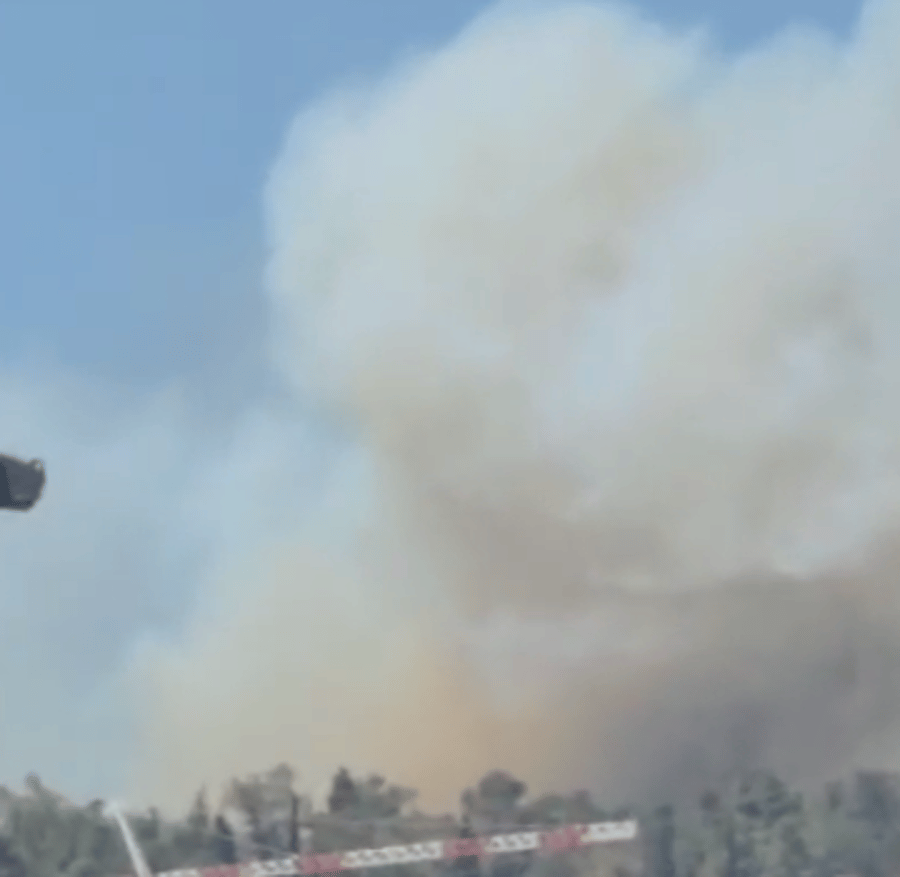 Wildfire Near Beit Shemesh Sparks Emergency Response
