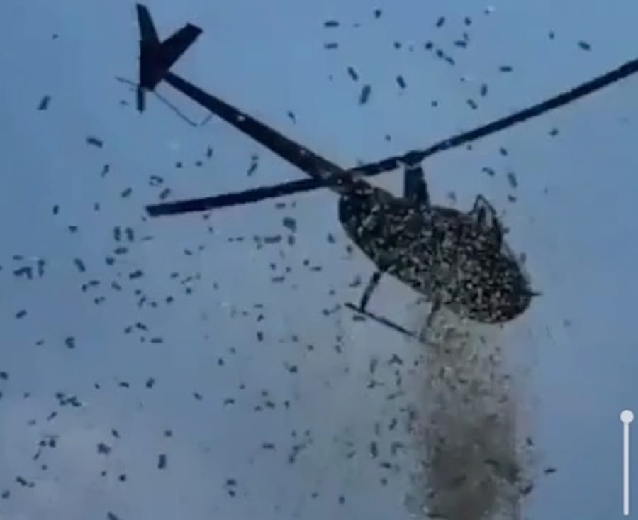 Cash Rain Over Detroit: Money Falls From the Sky in Bizarre Event