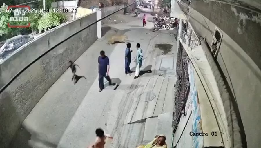  Lion Attacks Woman and Children in Pakistan