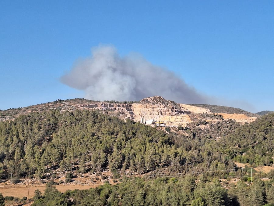 Massive wildfire breaks out in New Harim and Bar Giyora