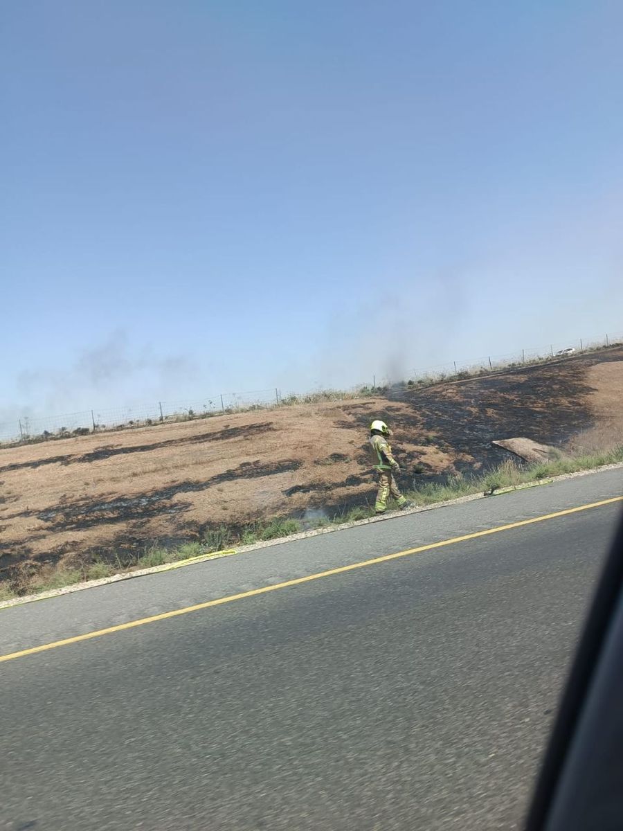 Massive Fire Engulfs Forest Near Deir al-Asad