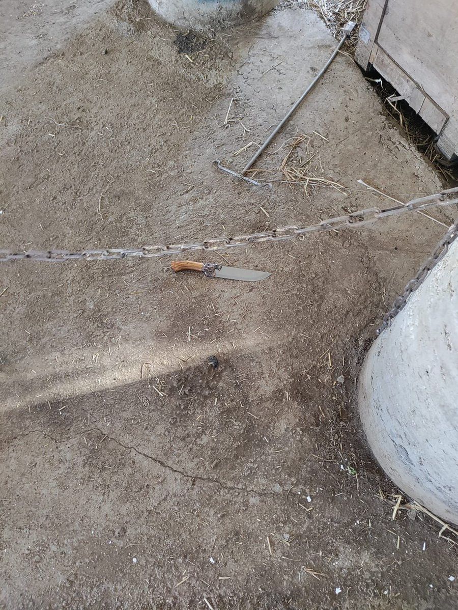 Attempted Stabbing Foiled Near Hebron; assailant neutalized