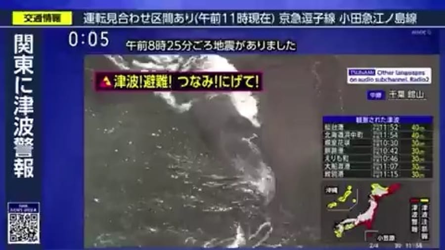 Four whales wash ashore after massive earthquake