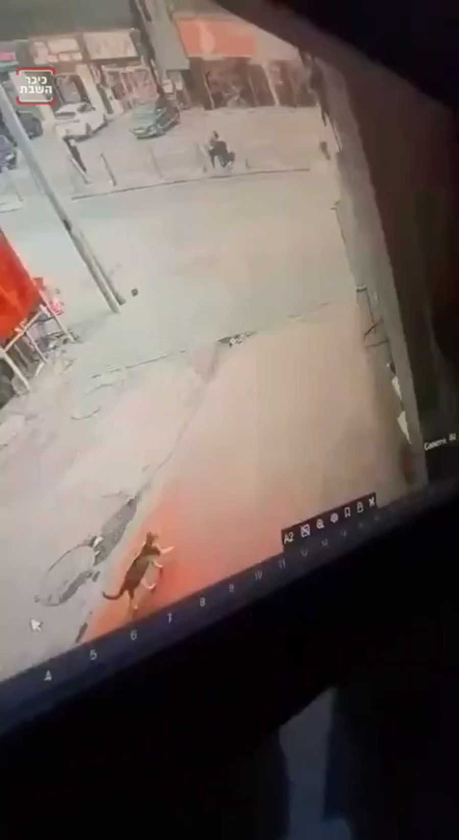 Watch the footage here.