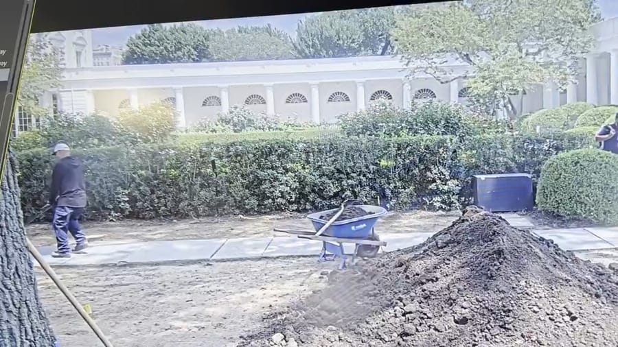 Renovation to the rose garden in the White House are under way