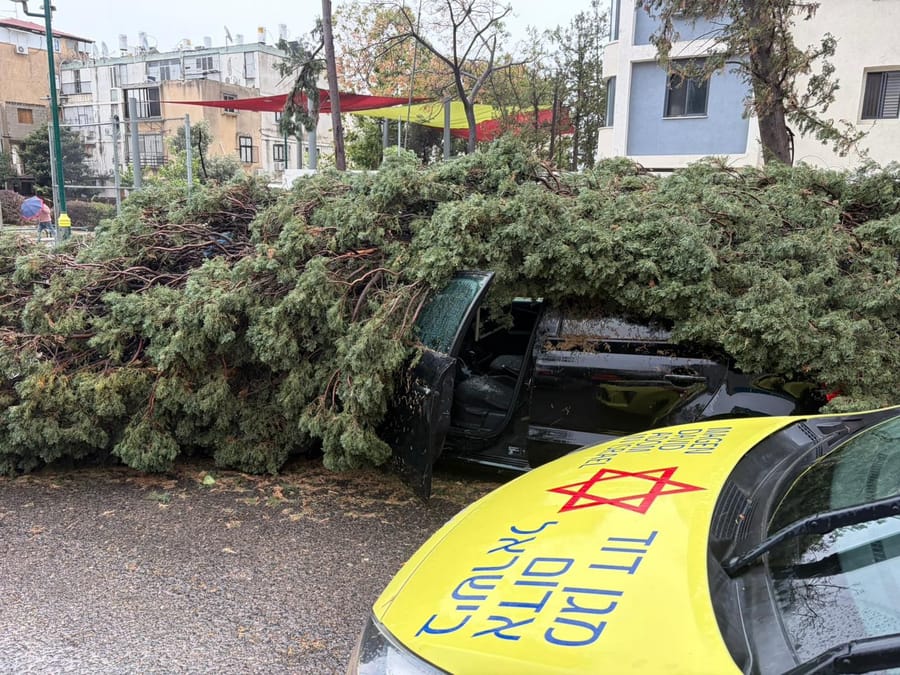 Tree falls on car in Rishon Letzion, 1 seriously injured