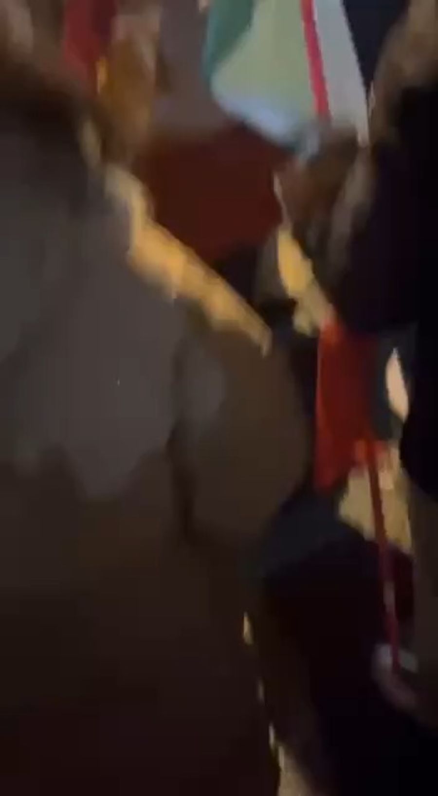 Iranian protester waves flag at anti-regime protest