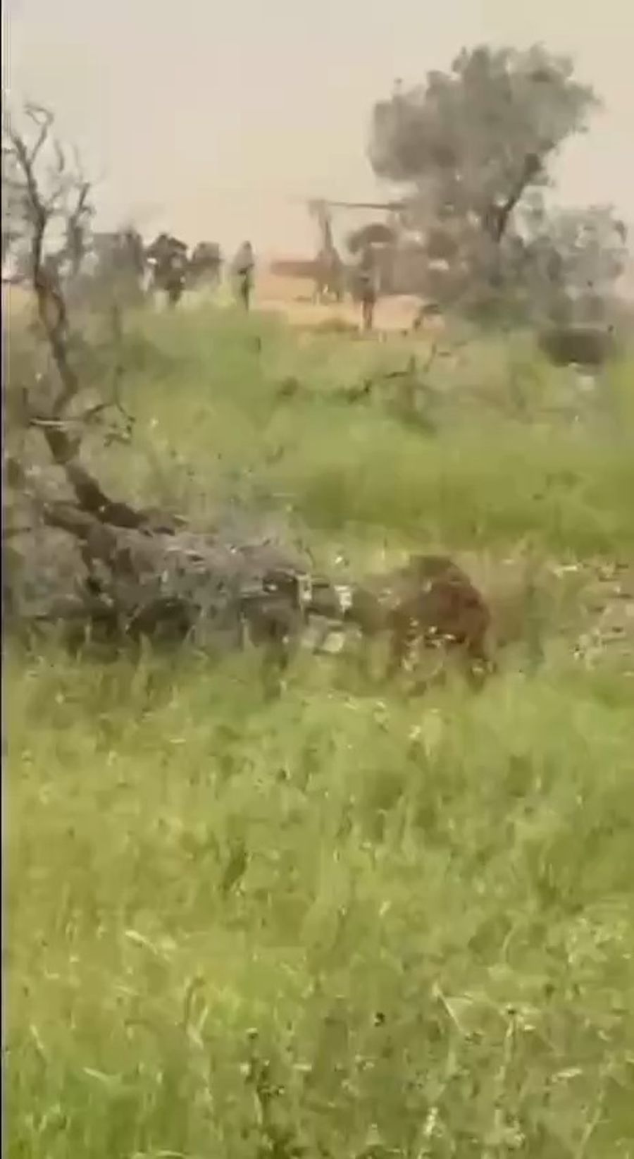 IDF forces in Lebanon