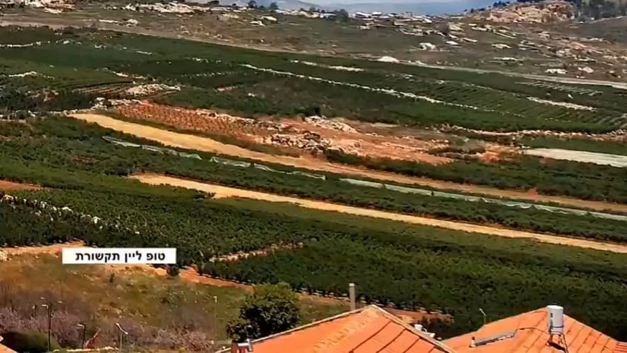 Hezbollah drone strikes home in Metula