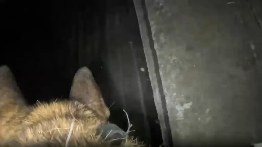 IDF Demolishes Subterranean Weapons Cache Holding Dozens of Rockets East of Yellow Line