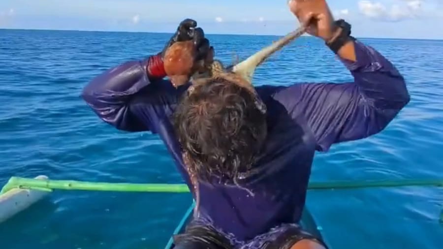 Filipino Fisherman Battles Octopus That Latched Onto His Face