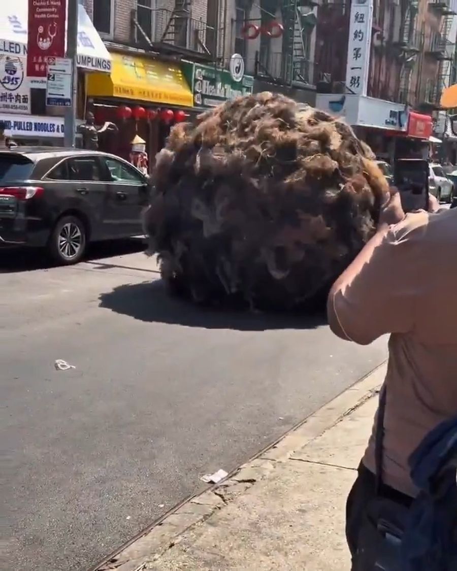 Giant Hairball Rolls Through Manhattan Street