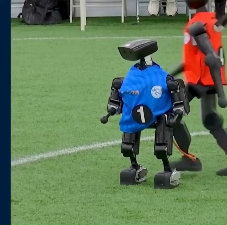 It Walks Like a Robot and Looks Like A Robot