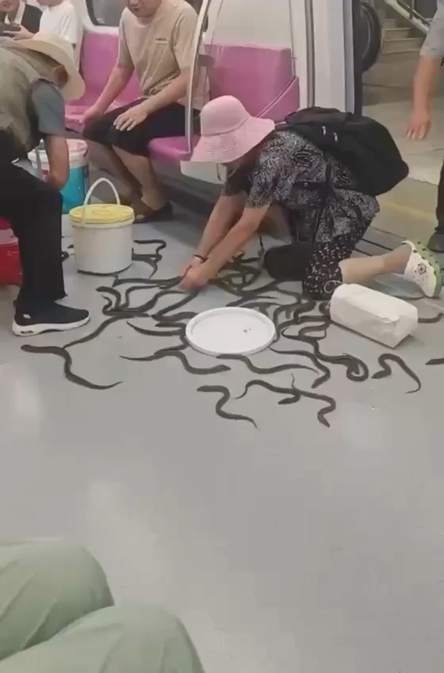 Eels Escape Container on Shanghai Metro