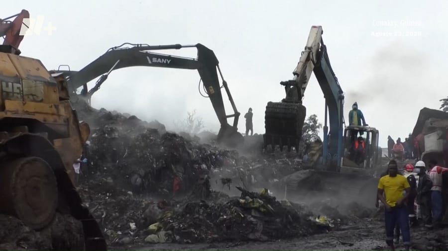 Clearing the site