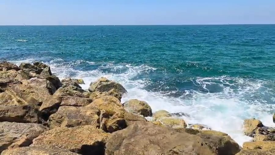 Tel Aviv fishing