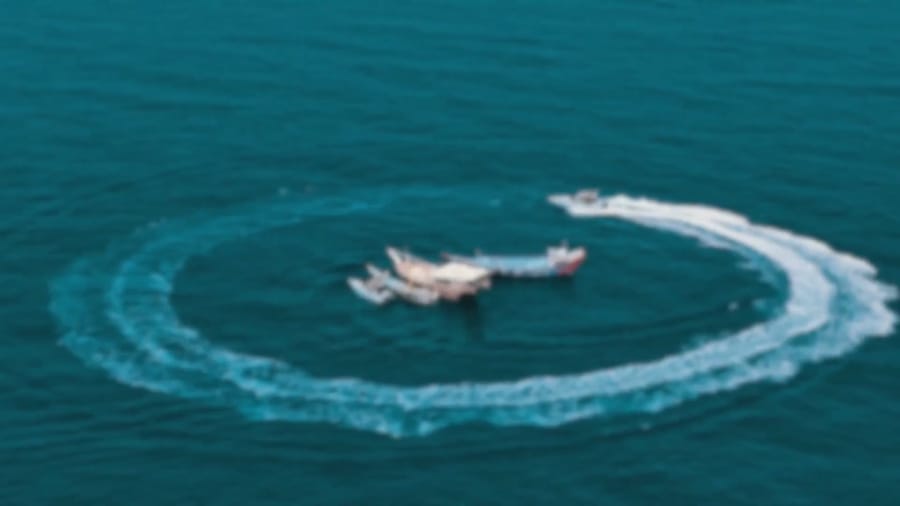 Video of the counter-operation