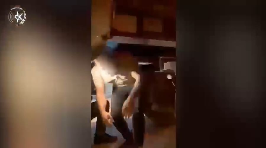 Illegal Aliens Arrest 