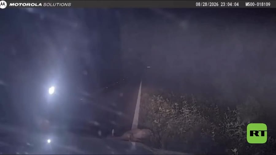 The police officer reacts in panic when the doe wakes up.
