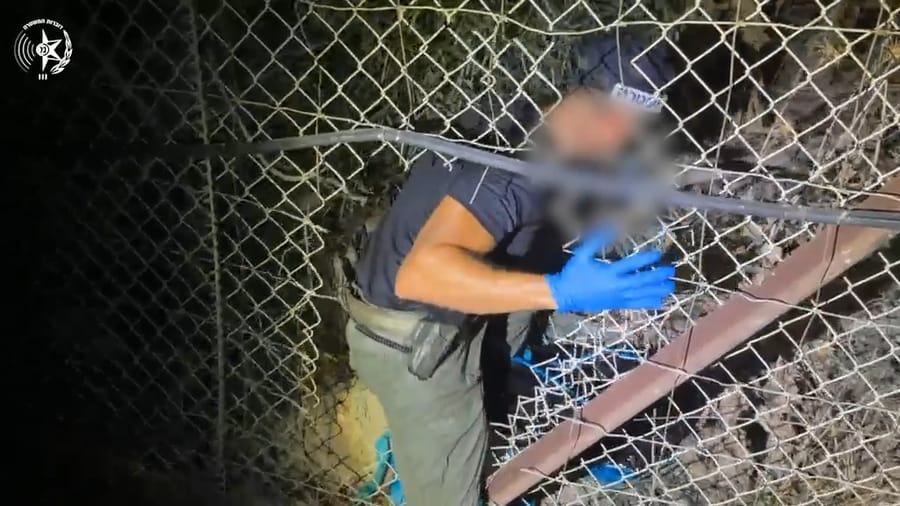 The smuggling attempt and seizure