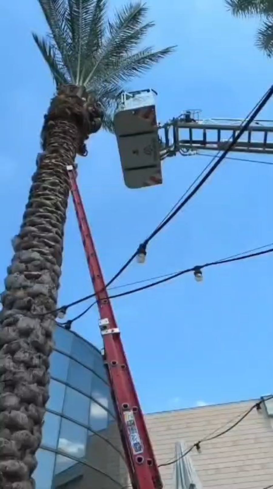 Documentation of the rescue