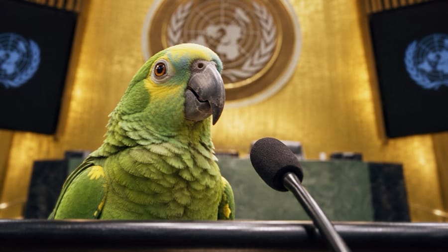 Parrots campaign