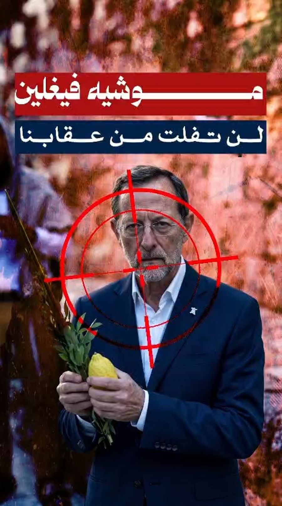 Moshe Feiglin