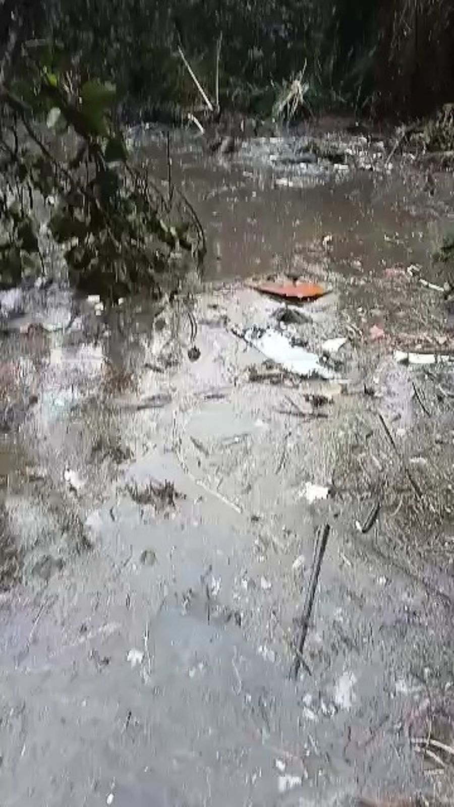 Search and rescue teams at the crash site