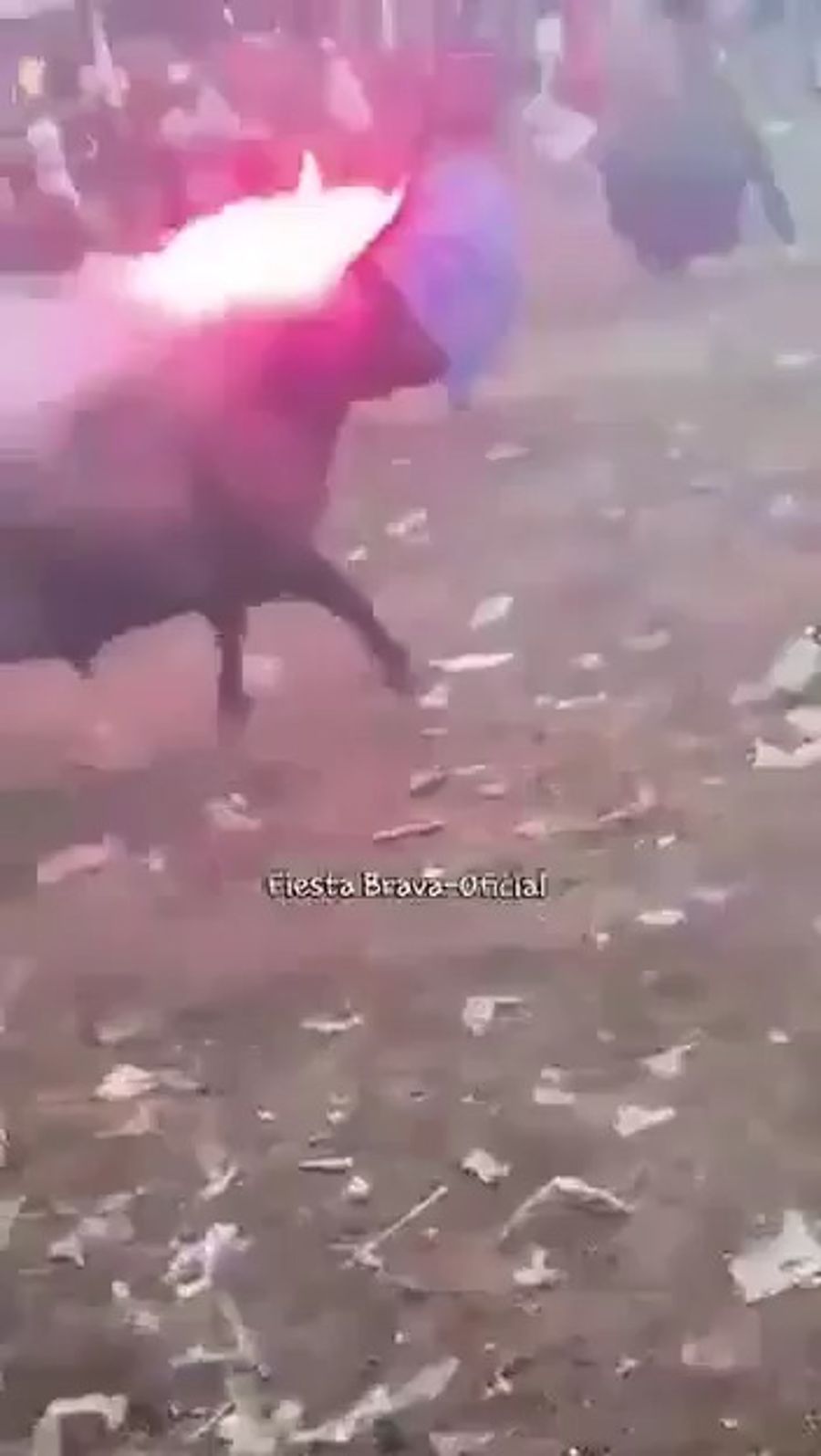 Bull with fireworks strapped to horns at Colombian festival