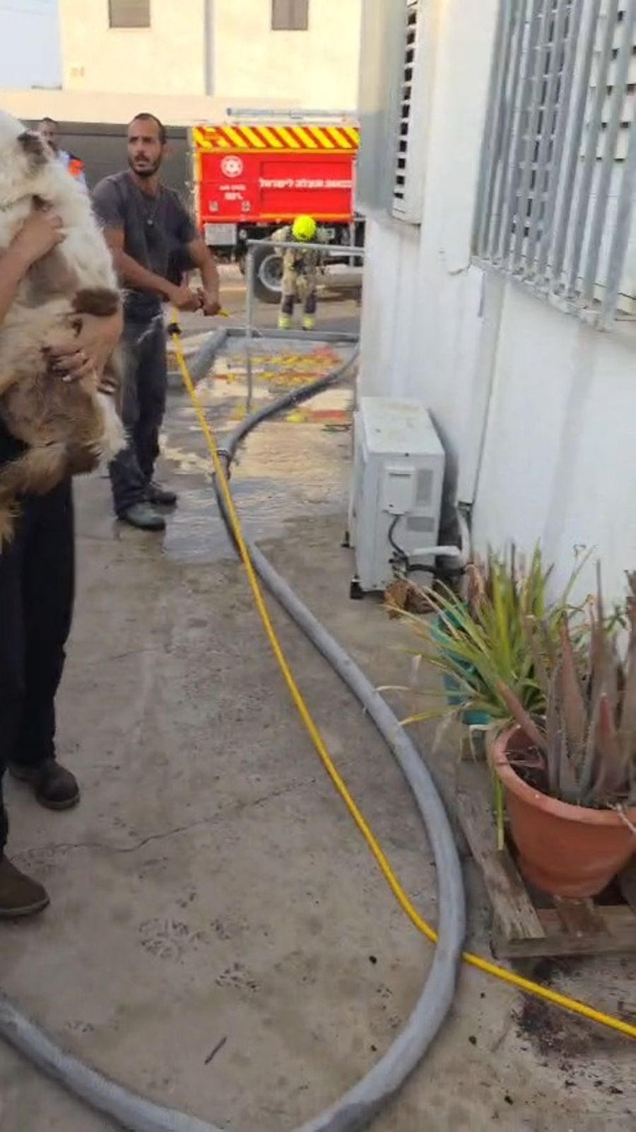 The rescue operation