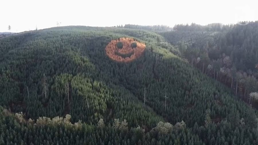 The 300-foot smiley face on an Oregon hillside, visible only when autumn colors arrive