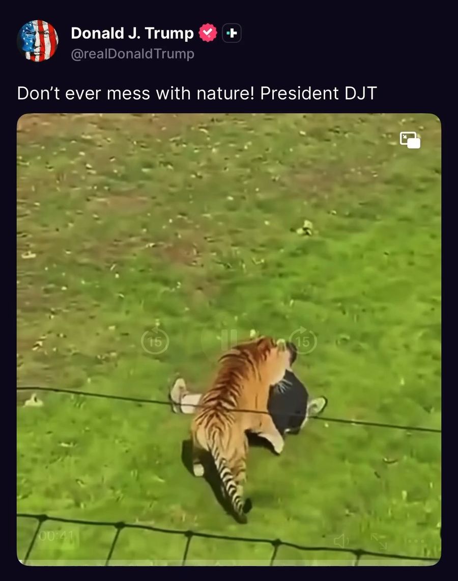 The tiger attack video Trump shared