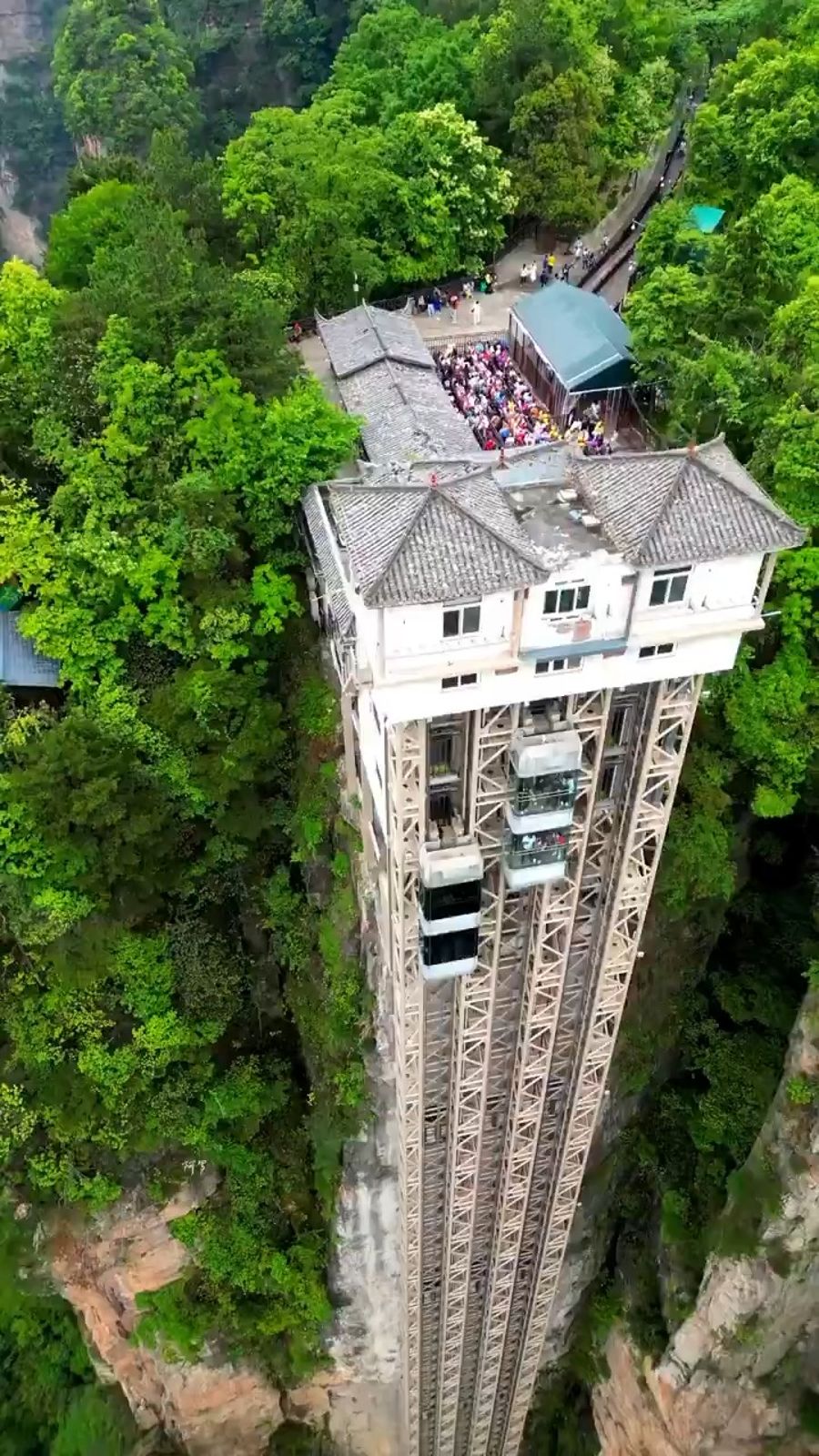 Screams inside the glass: China's elevator that rockets hundreds of metres above the abyss