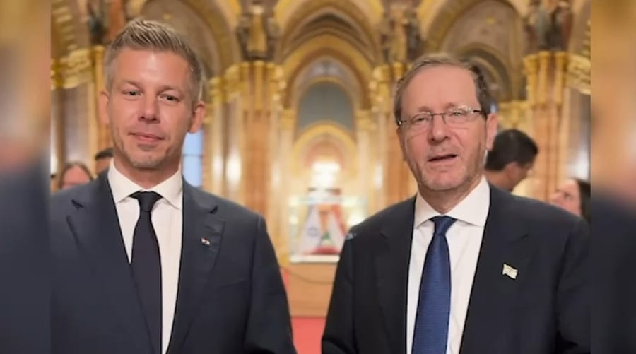 Statements by Herzog and Magyar