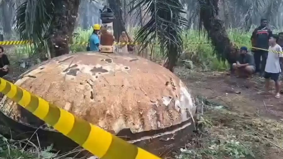 Mystery debris discovered in Indonesian palm plantation