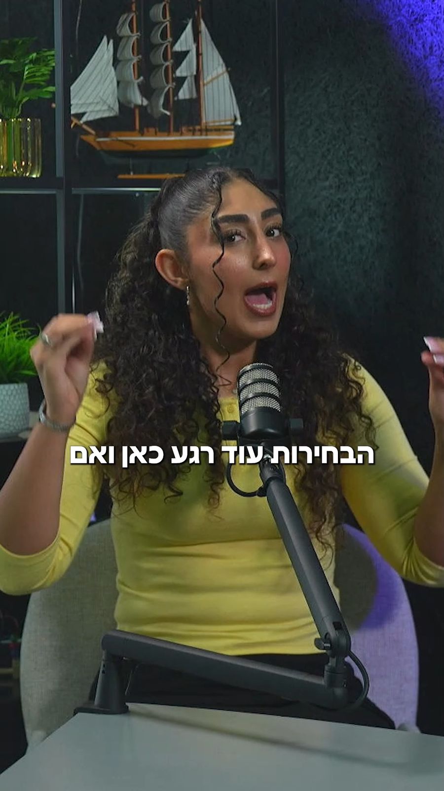 Israeli political parties