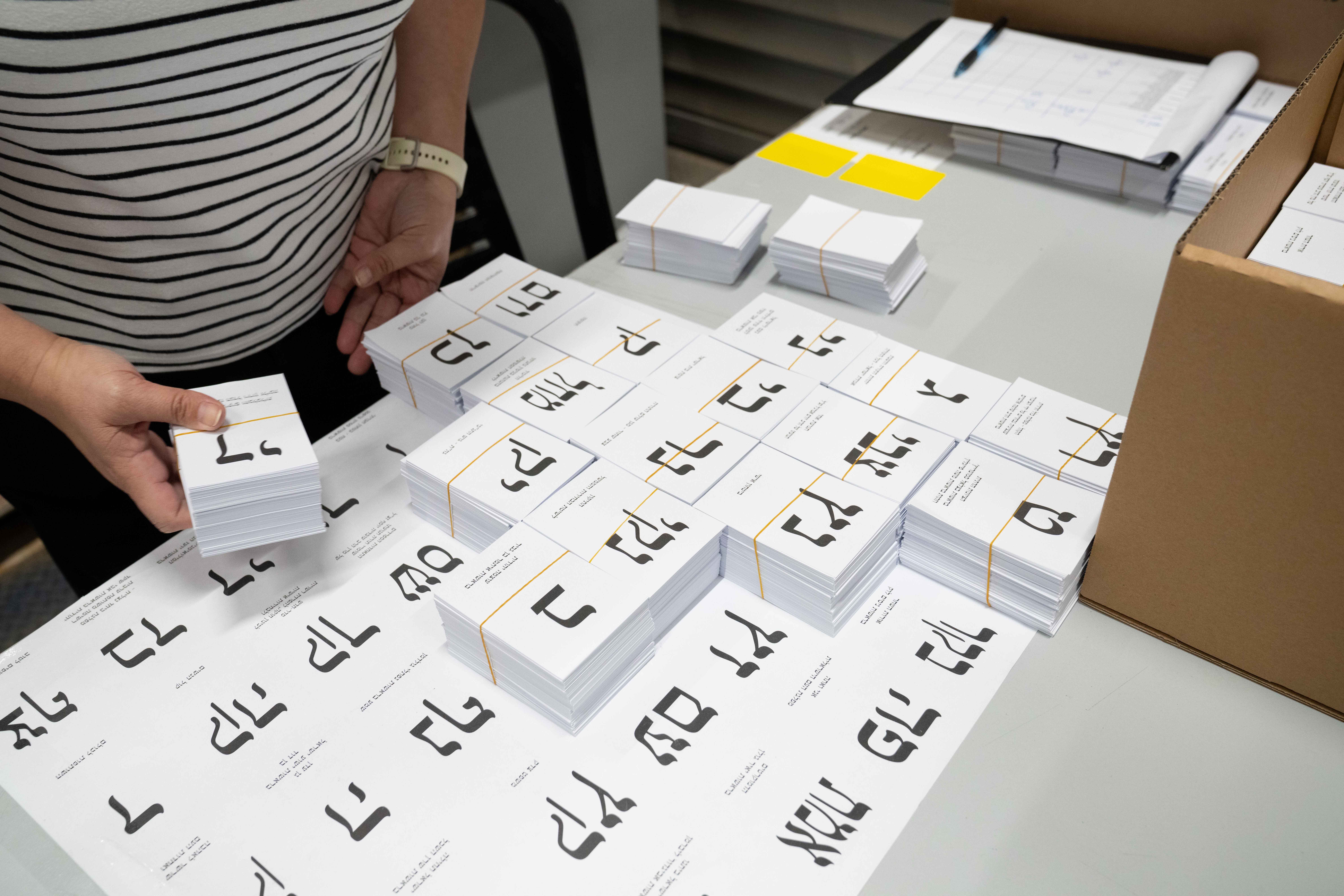 Election preparations