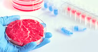 Israel Becomes First Country to Approve the Sale of Lab-Cultivated Beef Meat
