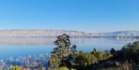 The Sea of Galilee ('Kinneret')