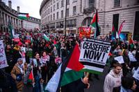 Pro-Palestine protestors calling for a ceasefire