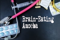 Brain-Eating Amoeba 