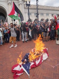 Burning the US Flag, July 24, 2024