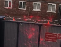 Protestors threw red paint at the Elbit factory