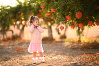 An Israeli child looking at pomegrantes grow on a tree ahead of the upcoming Jewish New Year in Kibbutz Hulda