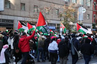 Pro-Palestinian protestors in NYC