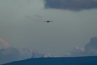 UAV